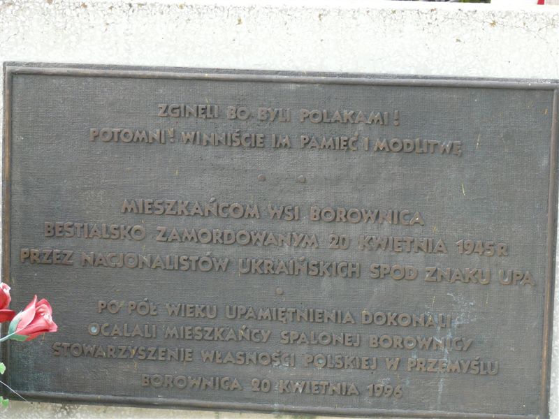 borownica 13.09.2009 (151)